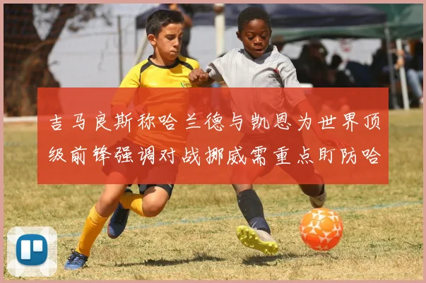 吉马良斯称哈兰德与凯恩为世界顶级前锋强调对战挪威需重点盯防哈兰德