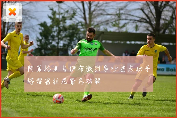 阿莱格里与伊布激烈争吵差点动手塔雷富拉尼紧急劝解